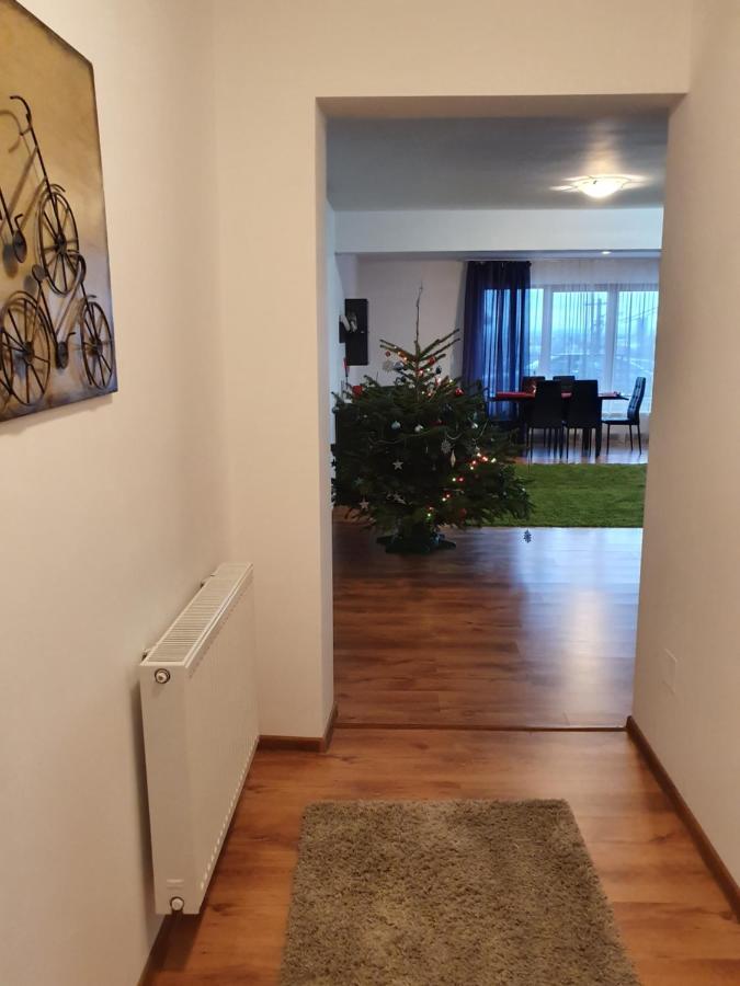Gloria Apartament Lägenhet Baia Mare Exteriör bild